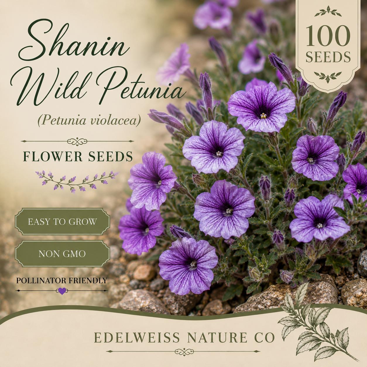 Shanin Wild Petunia Seeds Heirloom Non-GMO Purple Flower Garden Pollinator Planting - Petunia violacea