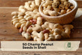 50 Champ Peanut Seeds in Shell, Virginia-Type Arachis hypogaea for Home Garden, Warm-Season Crop, Easy to Grow