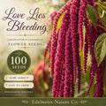 Love Lies Bleeding Seeds, Amaranthus caudatus Heirloom Ornamental Flower for Garden, Cascading Red Blooms, Non-GMO, Open-Pollinated