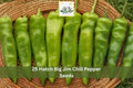 Hatch Big Jim Chili Pepper Seeds | Hot Green to Red Vegetable Seeds | Capsicum annuum for Garden, Container, Raised Bed