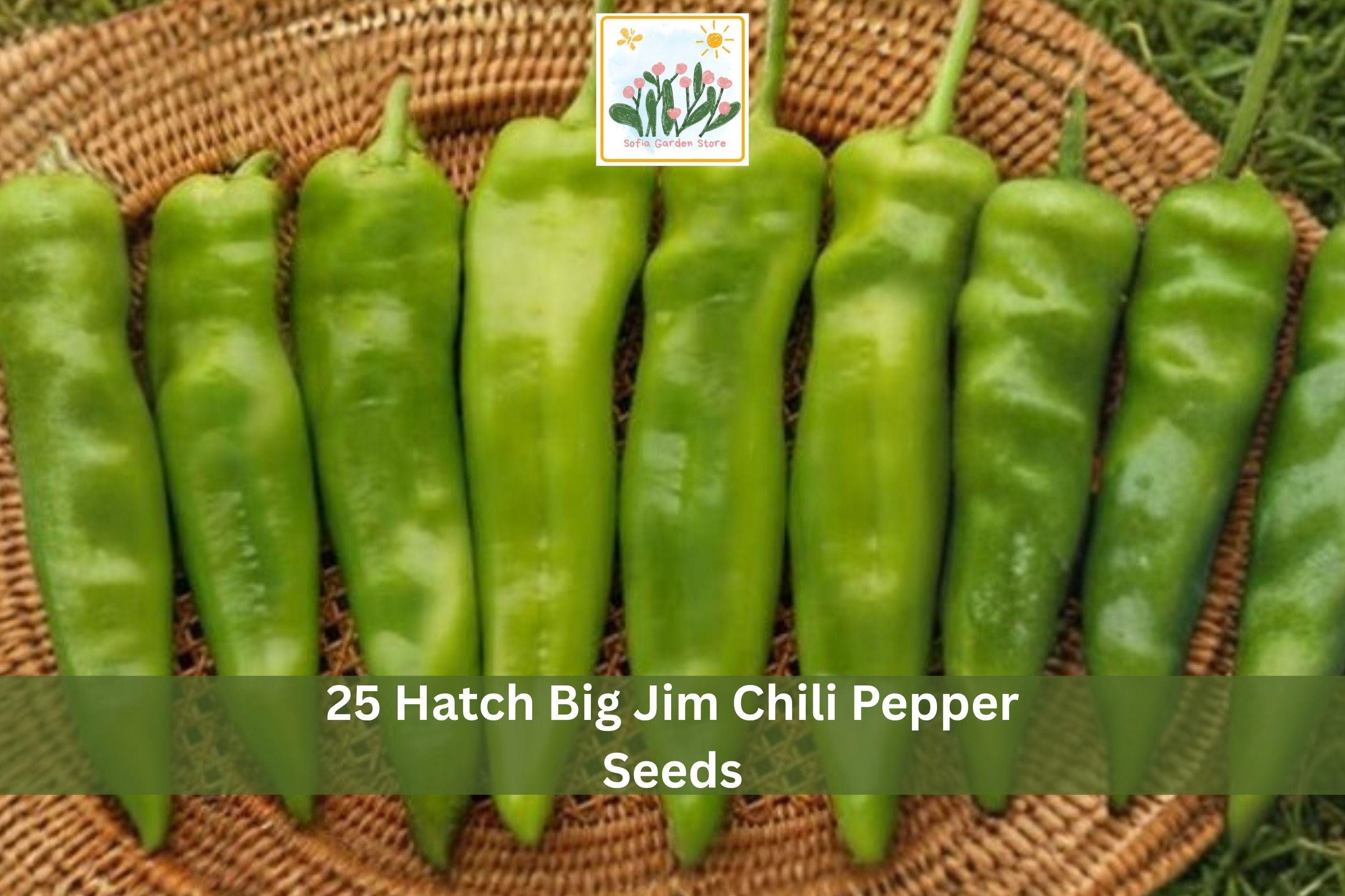 Hatch Big Jim Chili Pepper Seeds | Hot Green to Red Vegetable Seeds | Capsicum annuum for Garden, Container, Raised Bed