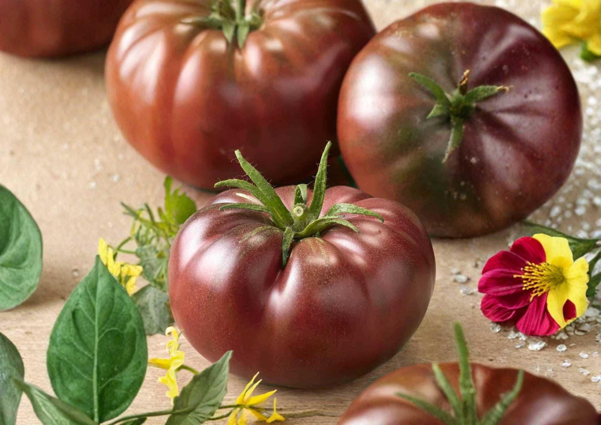 Black Krim Tomato Seeds – Heirloom Organic Non-GMO Vegetable Seeds for Garden Planting, Gourmet Dark Purple Tomato
