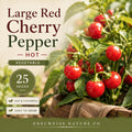 Large Red Cherry Hot Pepper Seeds – Heirloom, Non-GMO, Capsicum annuum, 25 Seeds