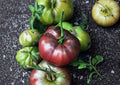 Black From Tula Heirloom Tomato Seeds, Dark Beefsteak, Non-GMO, Gourmet Vegetable Seeds for Garden Planting