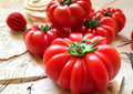 Beefsteak Tomato Seeds, Organic Heirloom Non-GMO, Large Juicy Slicing Tomatoes, Vegetable Garden Planting