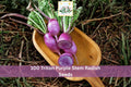 100 Triton Purple Stem Radish Seeds – Colorful Raphanus sativus Vegetable Microgreen Garden Seeds for Containers & Raised Beds