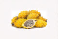 Yellow Dragon Fruit Plant – Rooted Climbing Cactus Selenicereus megalanthus for Home & Garden