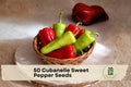 Cubanelle Sweet Pepper Seeds – Heirloom Capsicum annuum for Frying, Stuffing & Roasting, 50+ Seeds for Garden & Container Growing