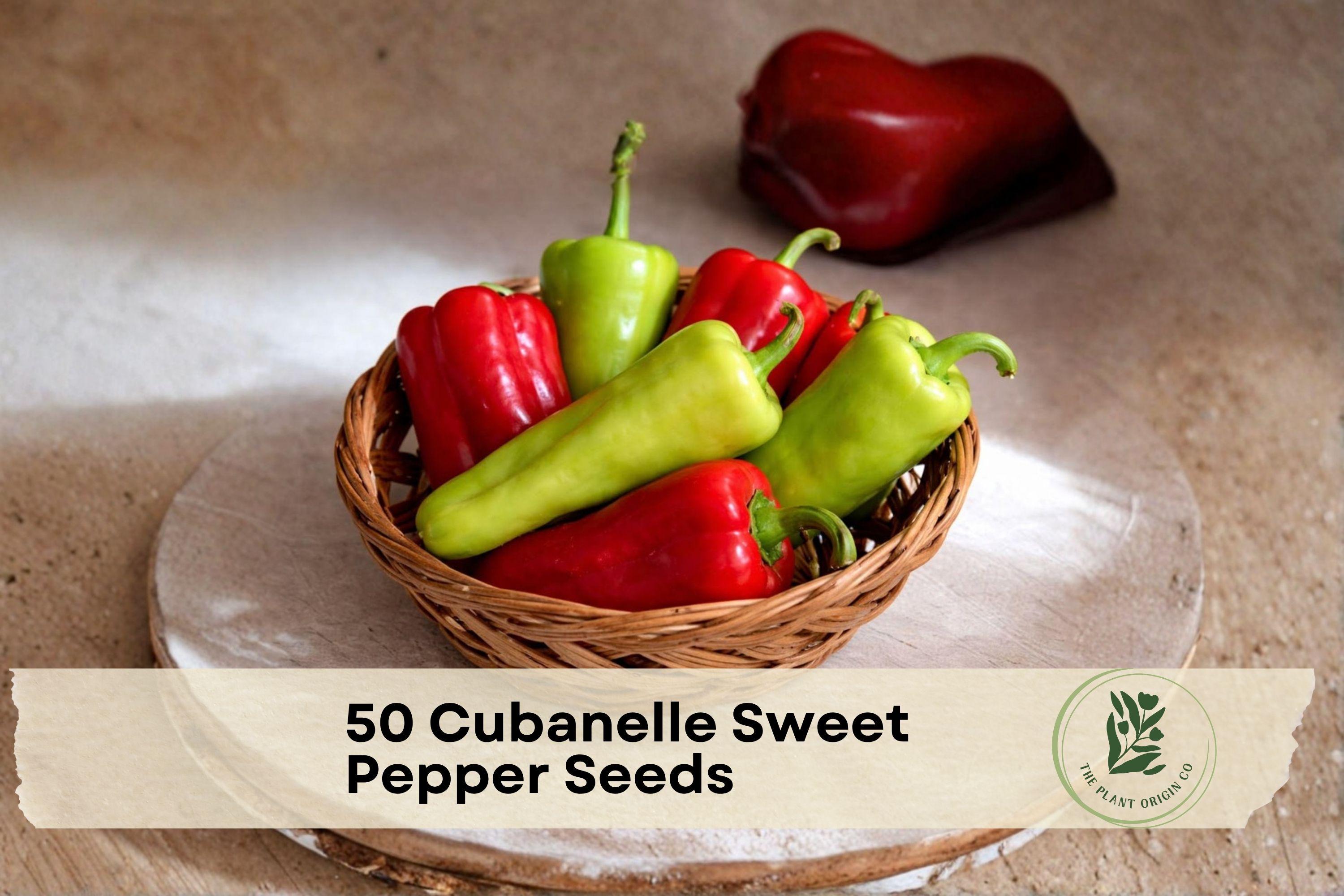 Cubanelle Sweet Pepper Seeds – Heirloom Capsicum annuum for Frying, Stuffing & Roasting, 50+ Seeds for Garden & Container Growing