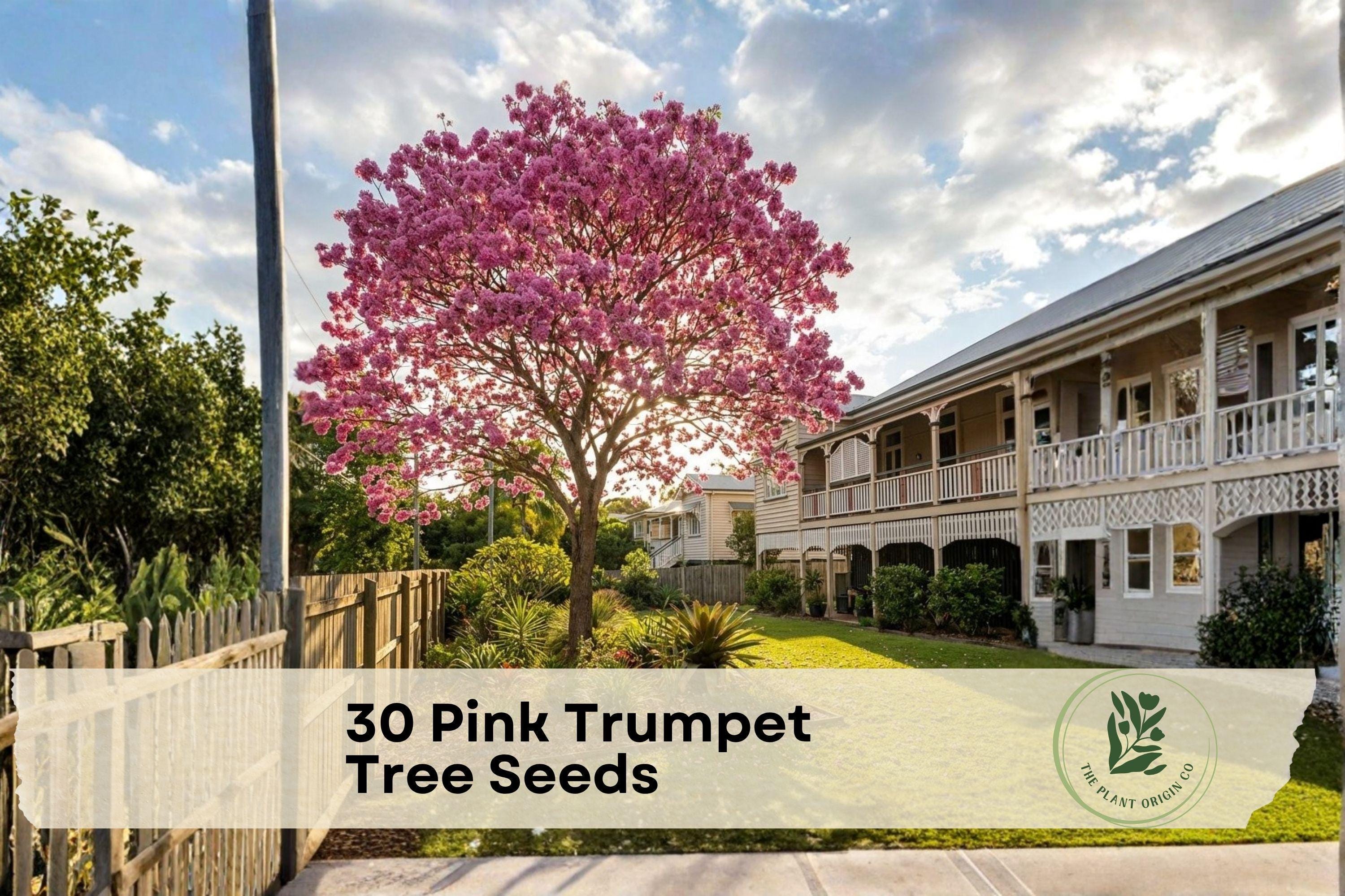 Pink Trumpet Tree Seeds - Grow Your Own Tabebuia rosea Flowering Tree with Pink Blooms, Fast-Growing Ornamental for Tropical Gardens