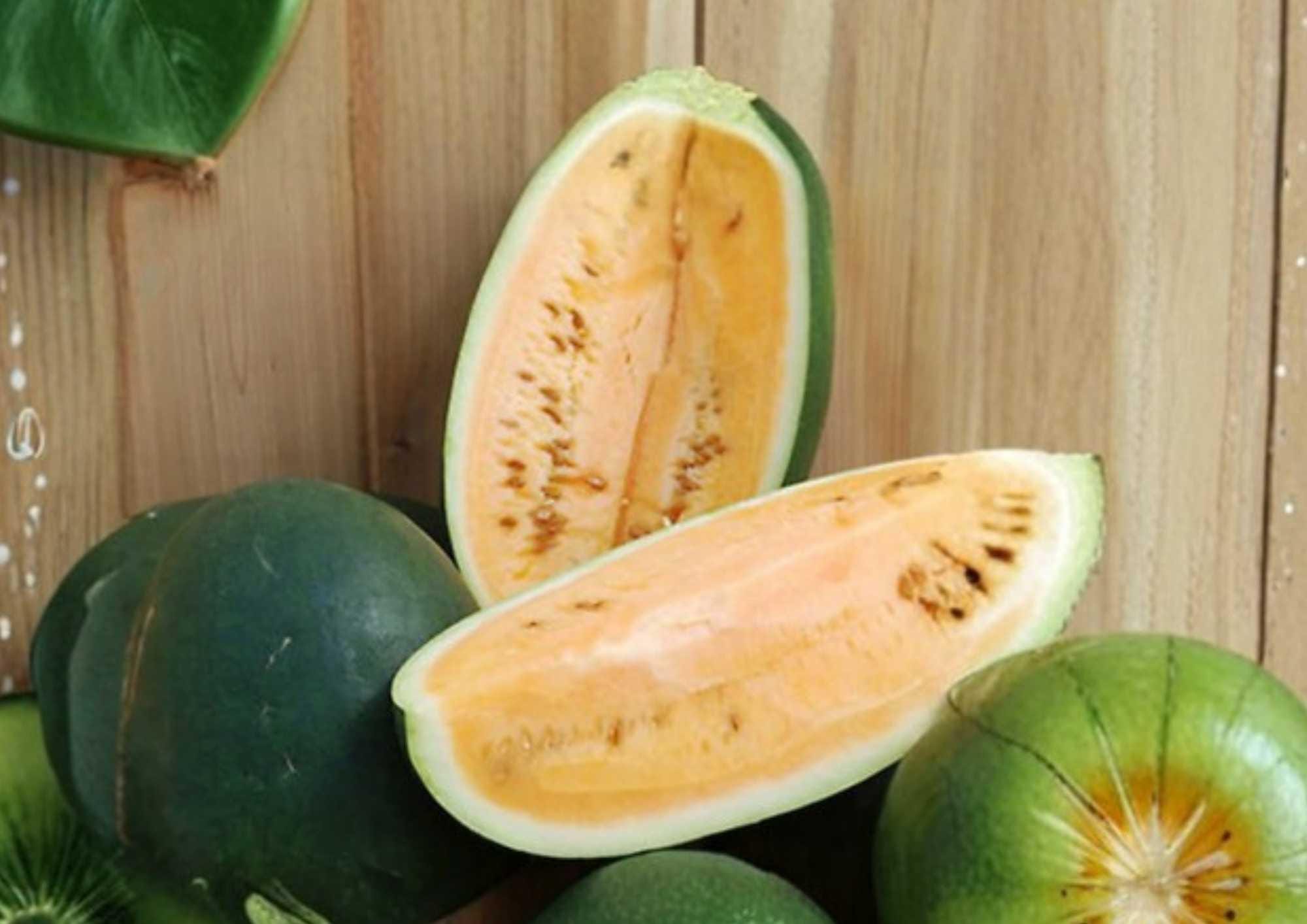 Sweet Siberian Watermelon Seeds – Heirloom Organic Non-GMO Rare Fruit Seeds for Cool-Season Garden Planting
