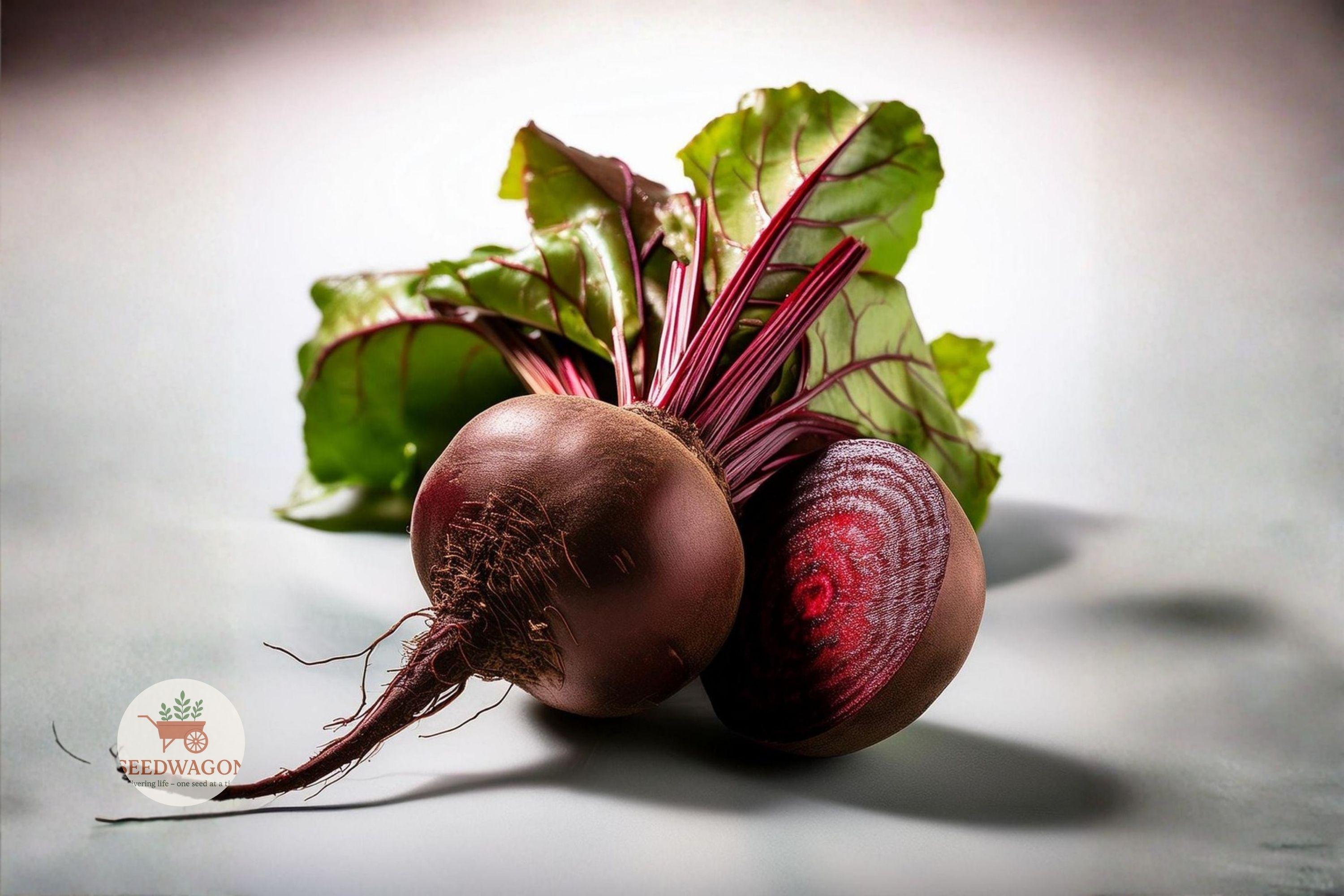 Detroit Dark Red Beet Seeds – Heirloom Non-GMO Beta vulgaris for Root Vegetables, Salad, and Cooking