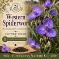 25 Western Spiderwort Seeds – Tradescantia occidentalis Native Wildflower for Pollinator Gardens & Prairie Landscaping