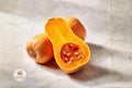 Waltham Butternut Squash Seeds – Heirloom Cucurbita moschata Non-GMO Vegetable Garden 100 Seeds