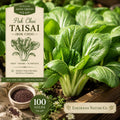 Pak Choi Taisai Seeds | Heirloom Non-GMO Asian Greens for Kitchen Gardens, Leafy Vegetable, Brassica rapa subsp. chinensis