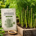 Mary Washington Asparagus Seeds | Heirloom Vegetable Garden Plant | Non-GMO Perennial Vegetable Seeds