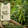 Heirloom Fava Bean Seeds | Broad Bean Vegetable, Easy Grow, High Yield, Vicia faba, Organic, Non-GMO, 10 Pack