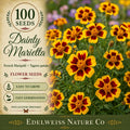 Dainty Marietta French Marigold Seeds – Heirloom Yellow Red Garden Flower, Tagetes patula, 100 Seeds