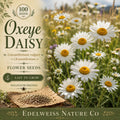 Leucanthemum vulgare Oxeye Daisy Seeds – Heirloom Non-GMO Wildflower Meadow Garden Plant, White Flowers, 100 Seeds