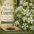 Silene stellata Seeds – Heirloom Non-GMO White Woodland Wildflower for Shade Gardens, 100 Seeds