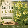 Astragalus canadensis Seeds – Native Wildflower, Heirloom, Non-GMO, Pollinator-Friendly Legume for Garden and Restoration