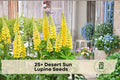 25+ Desert Sun Lupine Seeds – Yellow Lupinus polyphyllus Flower Seeds for Garden Beds, Borders, Pollinator Gardens