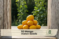 50 Mango Seeds for Growing Mangifera indica Tropical Fruit Tree, Edible Mango Seeds for Garden or Container Planting