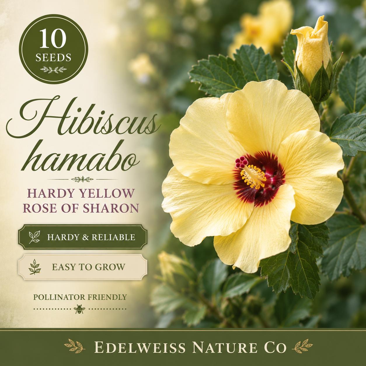 Hardy Yellow Rose of Sharon Seeds | Hibiscus hamabo Flowering Shrub | Heirloom, Non-GMO, Ornamental Garden Plant