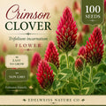 Crimson Clover Seeds - Heirloom Red Flower, Pollinator Garden, Non-GMO, Trifolium incarnatum