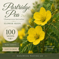 Partridge Pea Seeds Heirloom Non-GMO Wildflower Pollinator Garden Chamaecrista fasciculata