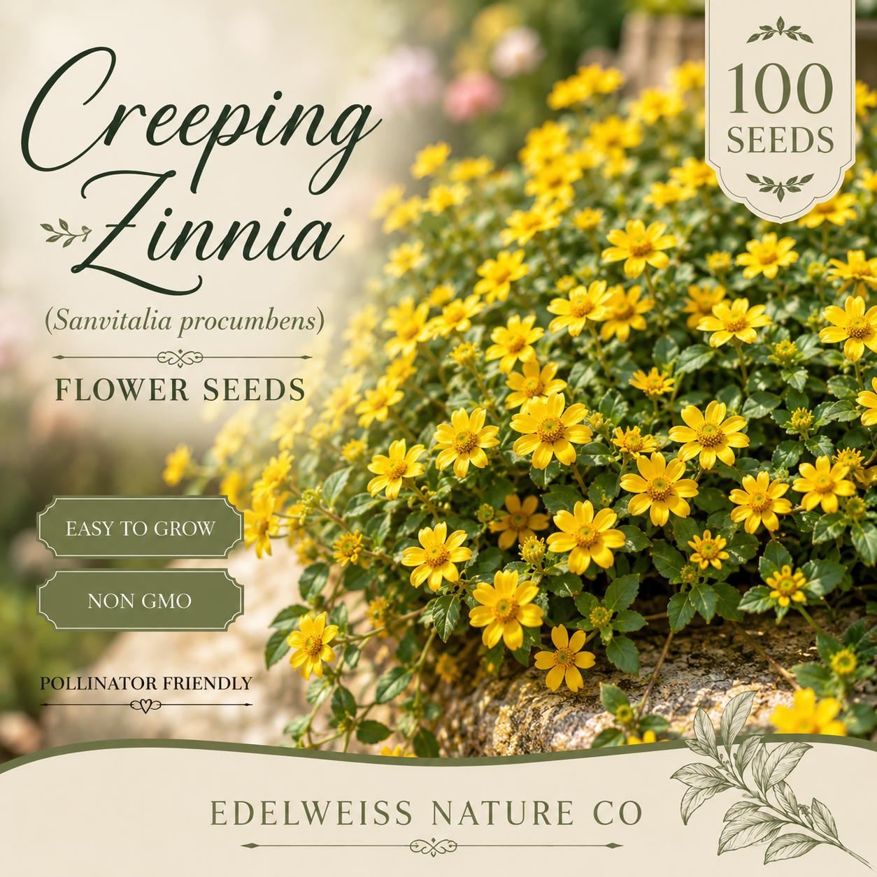 Creeping Zinnia Seeds Ground Cover Flower Bright Yellow Daisy-Like Sanvitalia procumbens Non-GMO Heirloom