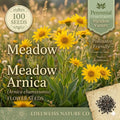 Arnica Chamissonis Seeds – Native Yellow Wildflower for Pollinator Gardens, Perennial Meadow Plant, 100 Seeds