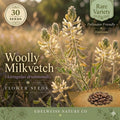 Astragalus drummondii Seeds – Woolly Milkvetch, Native Prairie Legume, Drought Tolerant Wildflower, Cream Purple Blooms, Perennial Plant