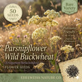 Eriogonum Heracleoides Seeds – 50 Parsnipflower Wild Buckwheat Native Drought-Tolerant Wildflower for Prairie Gardens