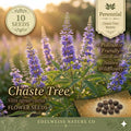Chaste Tree Seeds – 10 Vitex agnus-castus Flowering Shrub Seeds for Pollinator Gardens, Drought-Tolerant, Lavender Blooms
