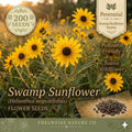 Swamp Sunflower Seeds – 200 Helianthus angustifolius Native Perennial Seeds for Pollinator Gardens, Rain Gardens, and Wildlife Habitats