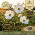 Cosmos Purity Seeds – 100 White Heirloom Annual Flower Garden Seeds for Cottage, Wildflower, and Pollinator Gardens