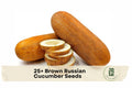 Brown Russian Cucumber Seeds – Heirloom, Vining, Cucumis sativus, for Slicing & Pickling, Outdoor & Container Gardening