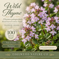 Heirloom Lemon Thyme Seeds - Broad-leaved Herb Ground Cover, Pollinator Plant, Thymus pulegioides, Aromatic, Non-GMO, Open-Pollinated