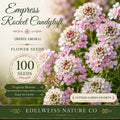 Iberis Amara Seeds – Empress Rocket Candytuft, Heirloom, Non-GMO Flower Seeds for Borders & Containers