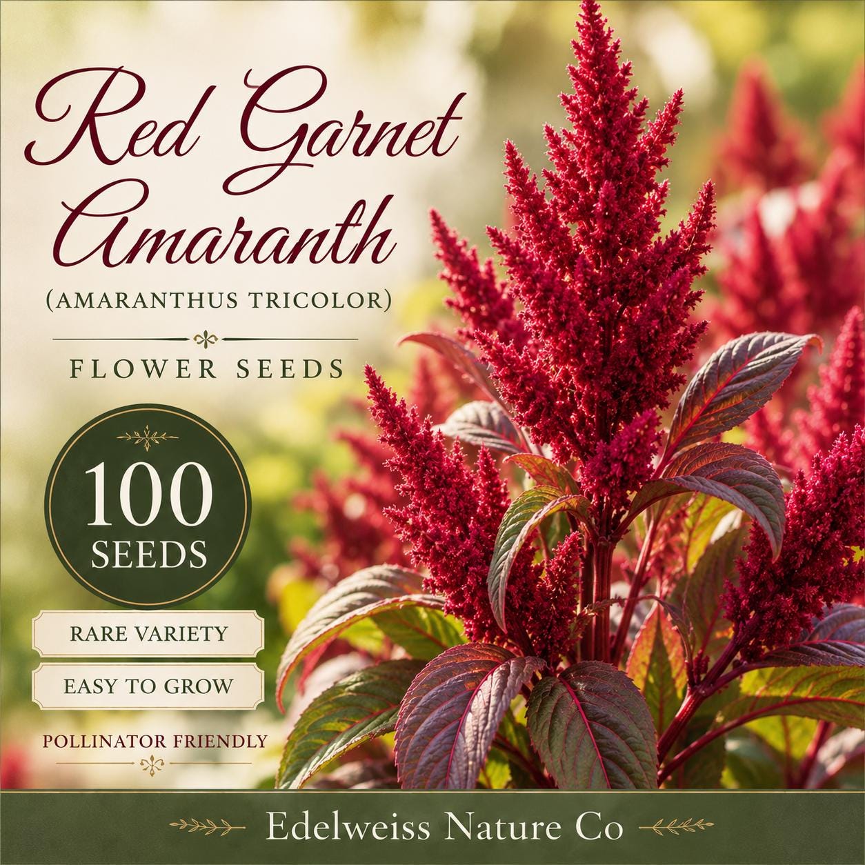 Red Garnet Amaranth Seeds - Heirloom Ornamental Edible Flower Plant - Amaranthus tricolor, Vibrant Red Foliage, Non-GMO, Garden Seeds