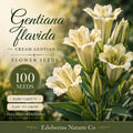 Gentiana Flavida Seeds - Cream Gentian Wildflower, Heirloom Non-GMO, Native Pollinator-Friendly Planting Seeds
