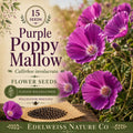 Purple Poppy Mallow Seeds – Callirhoe involucrata, Drought Tolerant Wildflower, Native North American Groundcover, Magenta Blooms