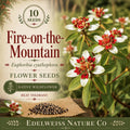 Fire-on-the-Mountain Seeds – 10 Euphorbia cyathophora Annual Wildflower with Red & Green Foliage for Sunny Gardens