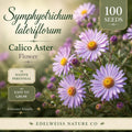 Calico Aster Seeds – Symphyotrichum Lateriflorum Native Wildflower for Pollinator Gardens, Fall Blooming, 100 Seeds