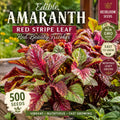Edible Amaranth Seeds | Red Stripe Leaf | Heirloom Vegetable | Amaranthus tricolor | 500 Seeds