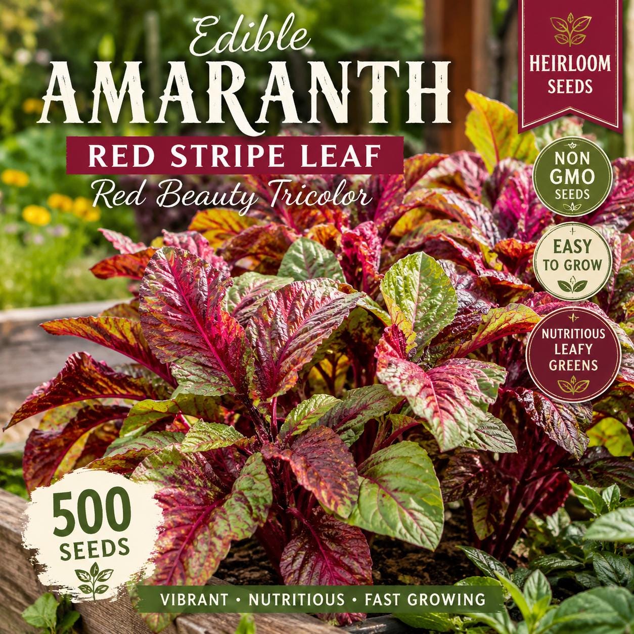 Edible Amaranth Seeds | Red Stripe Leaf | Heirloom Vegetable | Amaranthus tricolor | 500 Seeds