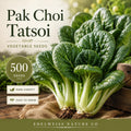 Pak Choi Tatsoi Seeds | Heirloom Asian Greens for Vegetable Garden, Nutritious Leafy Greens, Easy Grow, Non-GMO, 500 Seeds
