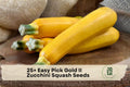 Easy Pick Gold II Zucchini Seeds – Summer Squash Vegetable, Golden Yellow, Bush Type, Cucurbita pepo