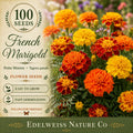 French Marigold Seeds – Petite Mix, Heirloom, Non-GMO, Tagetes patula, Bright Colorful Blooms for Borders & Containers